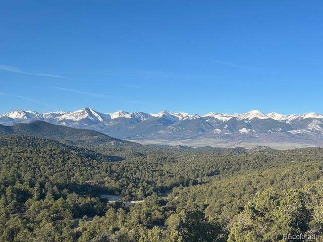 MLS Image #43 for 1310  pronghorn path,texas creek, Colorado