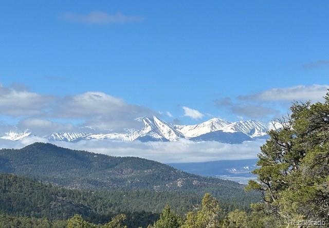 MLS Image #44 for 1310  pronghorn path,texas creek, Colorado