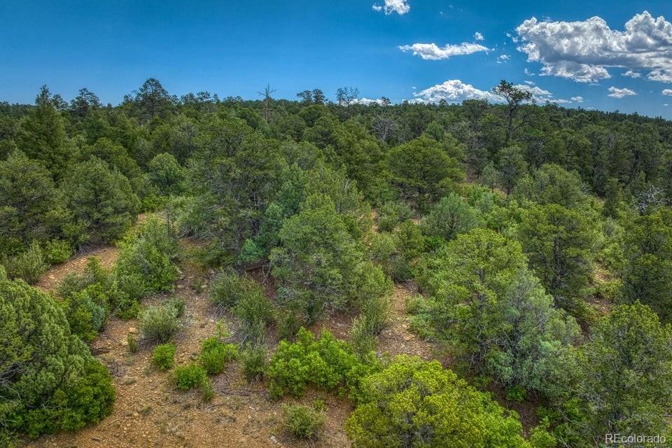 MLS Image #49 for 25570  overlook drive,aguilar, Colorado