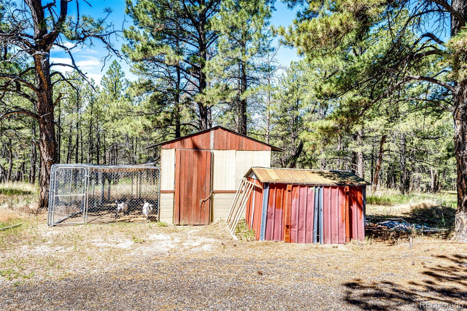 MLS Image #33 for 23493  county road 150 ,agate, Colorado