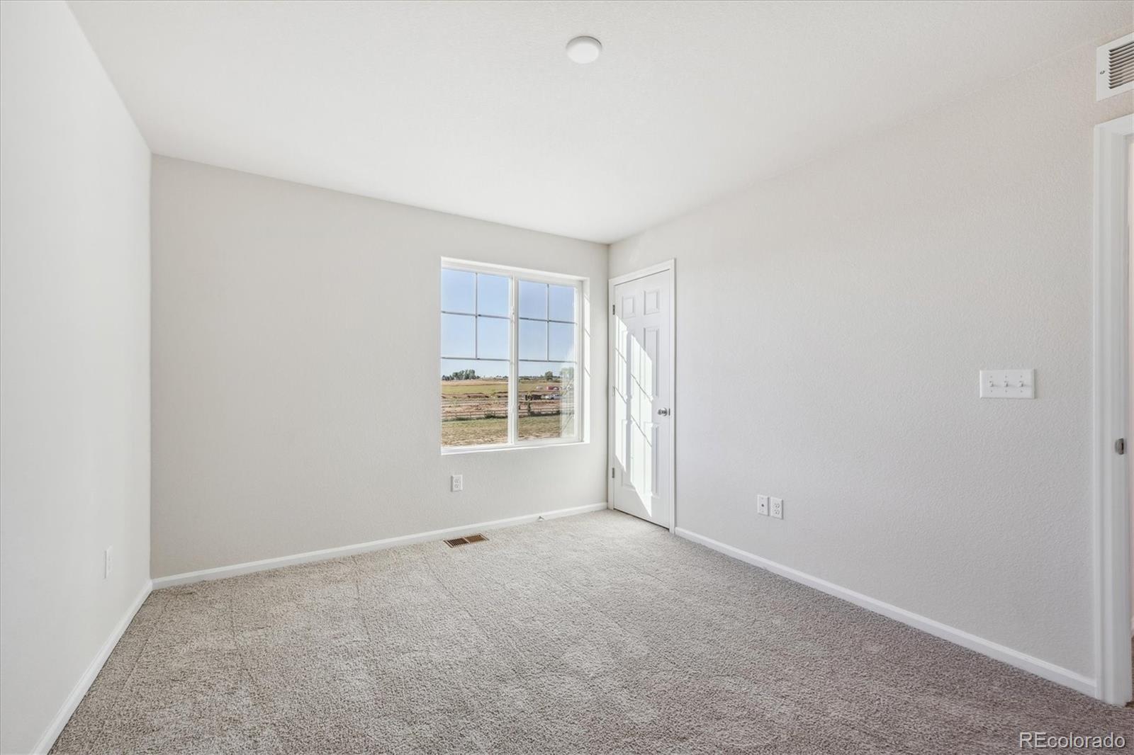 MLS Image #19 for 973  sandhills street,windsor, Colorado