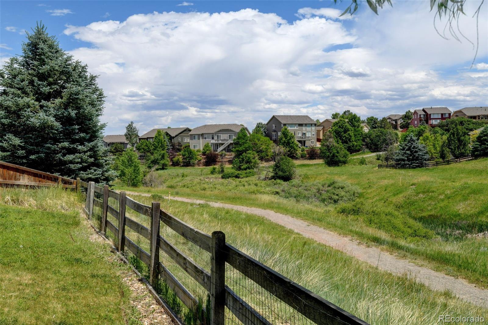 MLS Image #2 for 2105  baguette drive,castle rock, Colorado