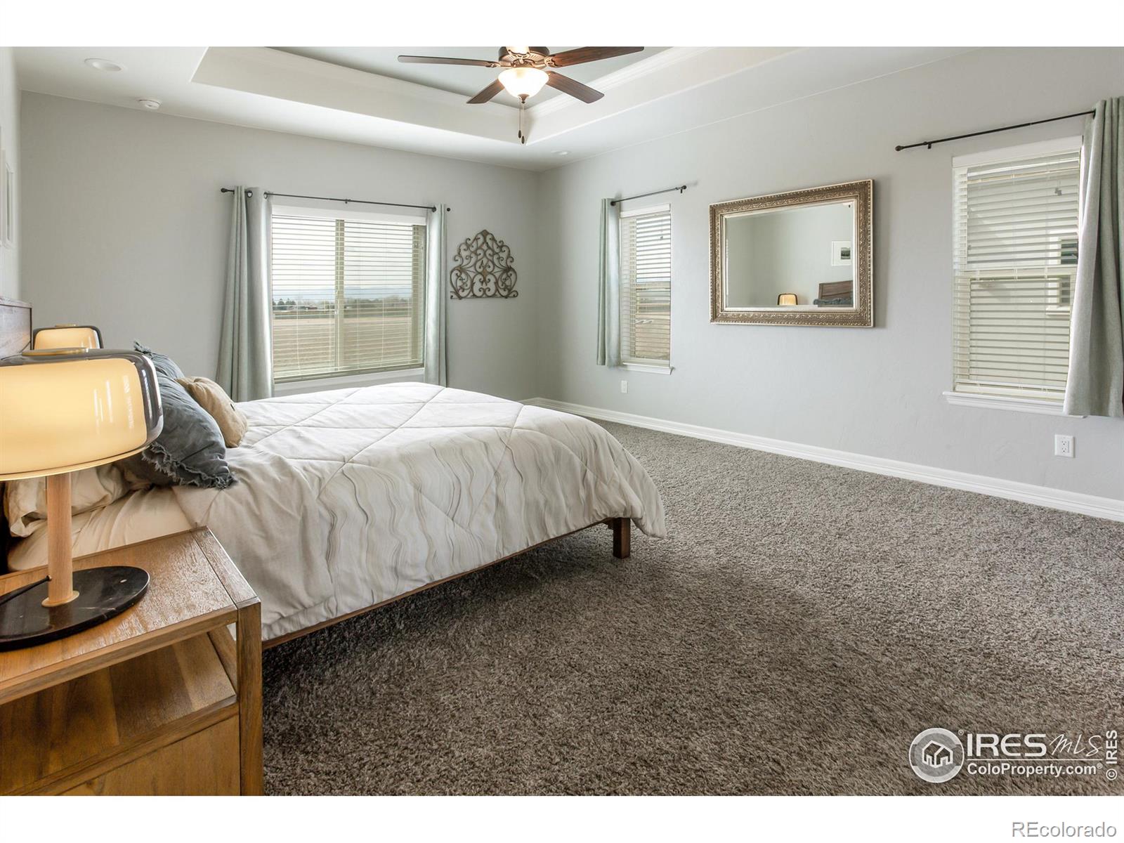 MLS Image #19 for 5293  homeward court,timnath, Colorado