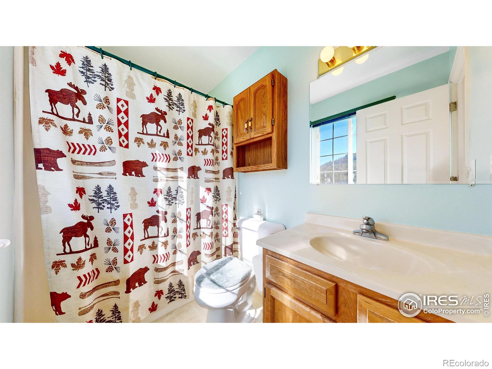 MLS Image #11 for 1840 n ridge lane,estes park, Colorado