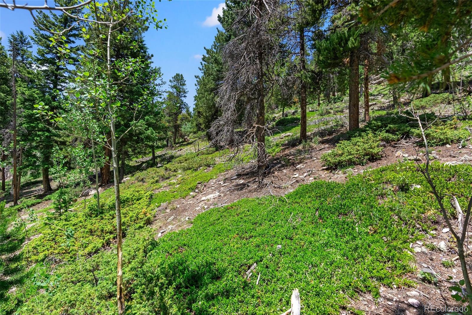MLS Image #15 for 3470  beaver brook canyon road,evergreen, Colorado