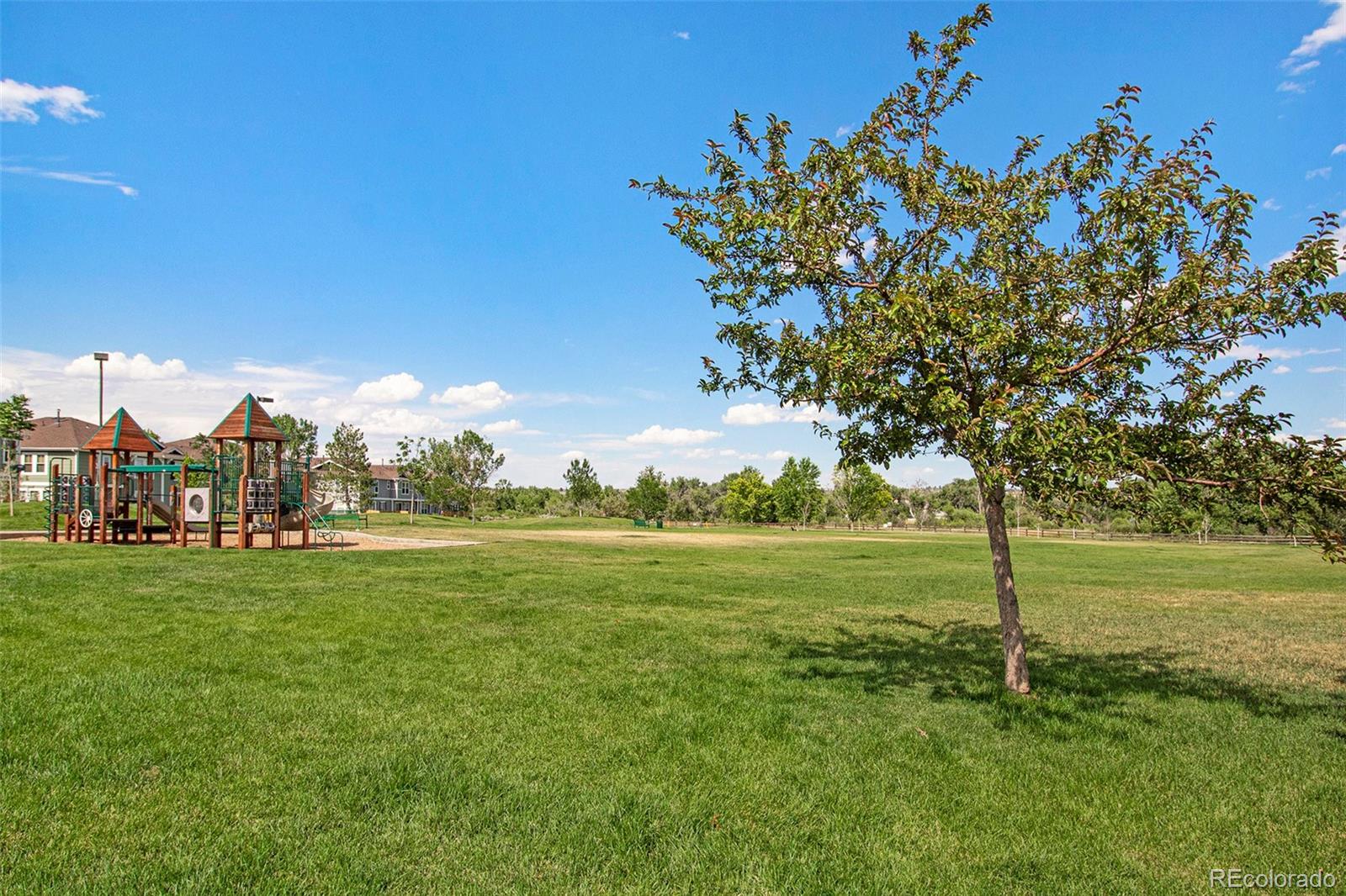 MLS Image #21 for 9039  apache plume drive f,parker, Colorado