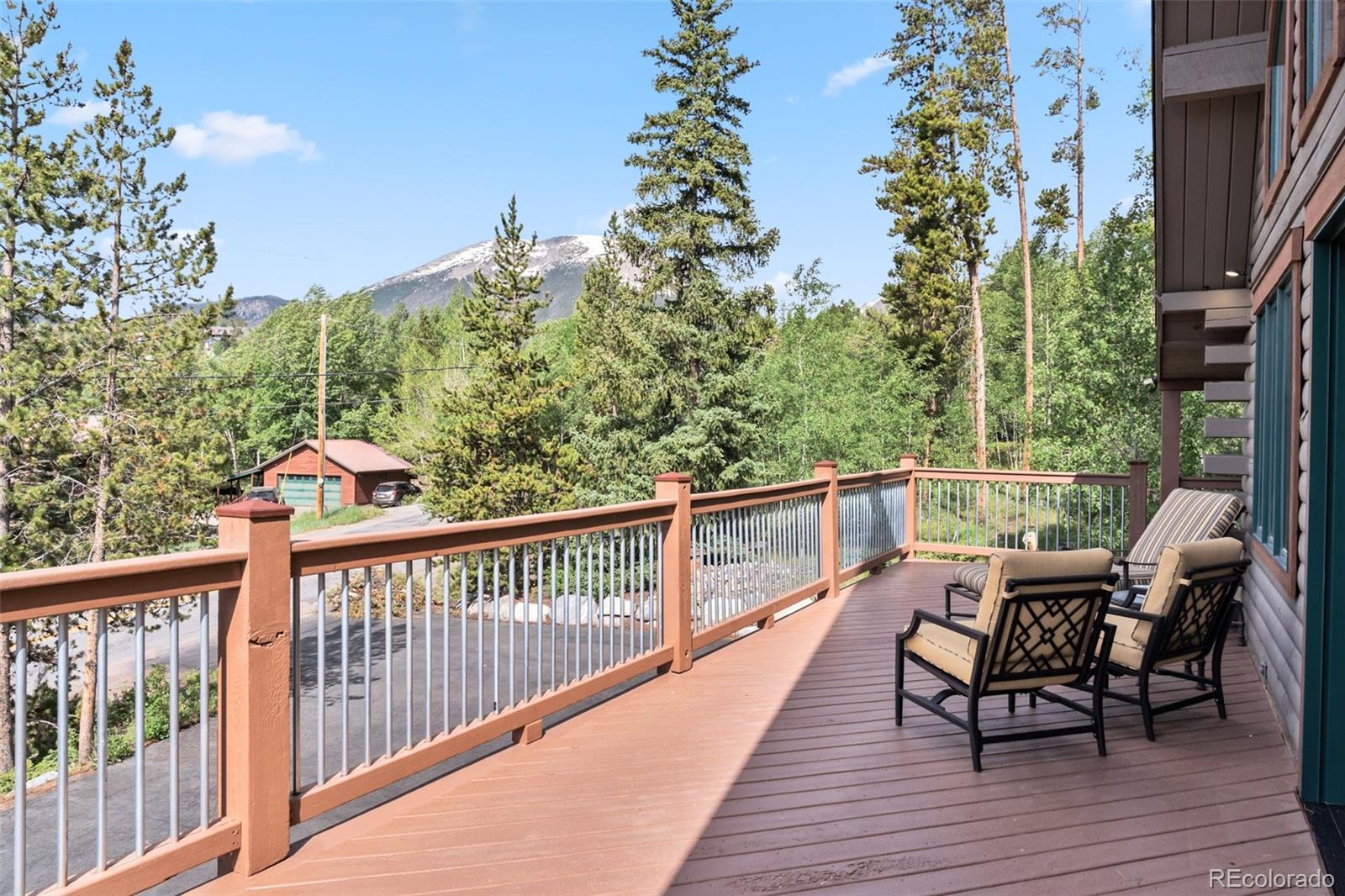 MLS Image #10 for 1149  royal buffalo drive,silverthorne, Colorado