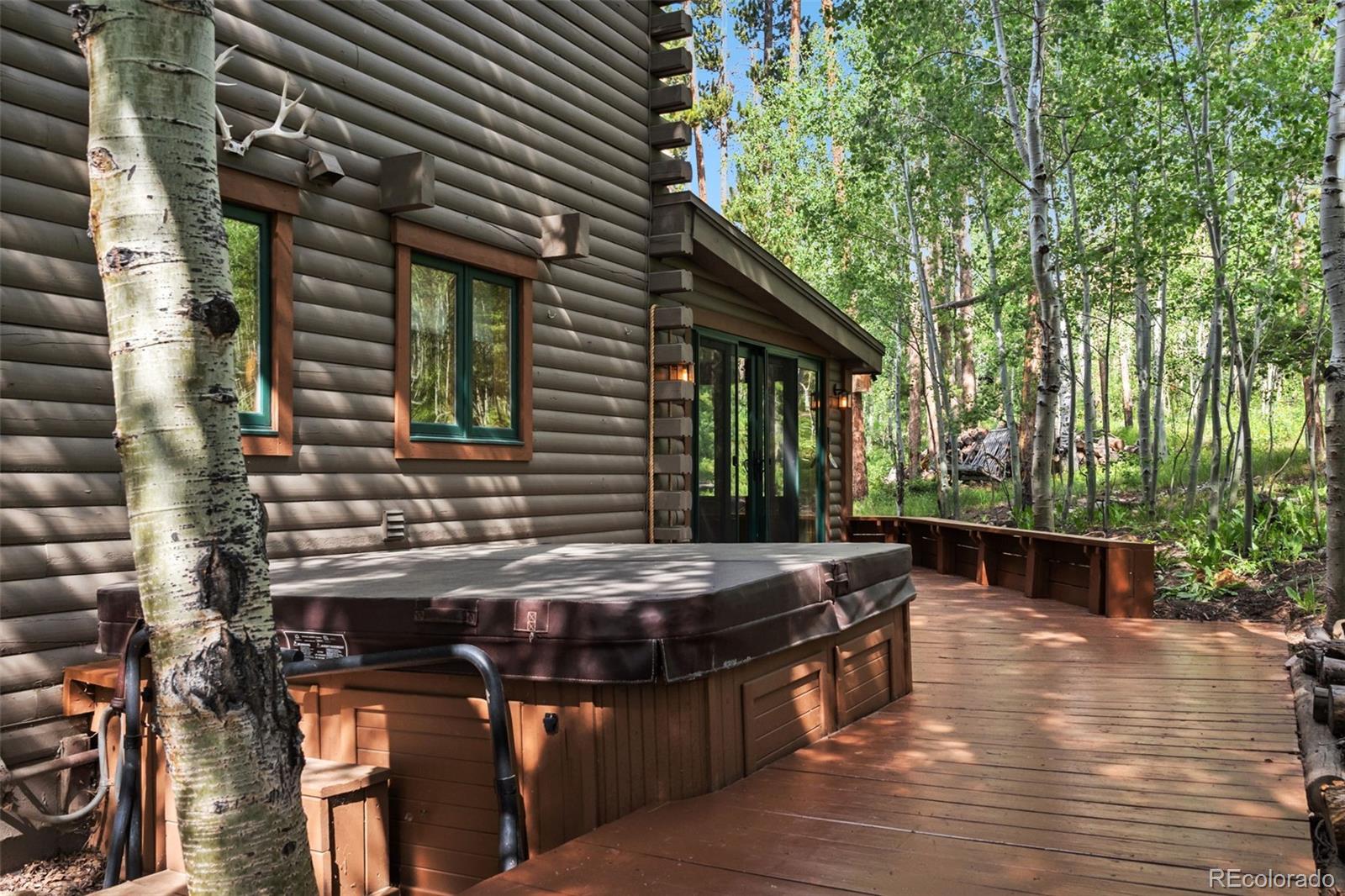 MLS Image #11 for 1149  royal buffalo drive,silverthorne, Colorado