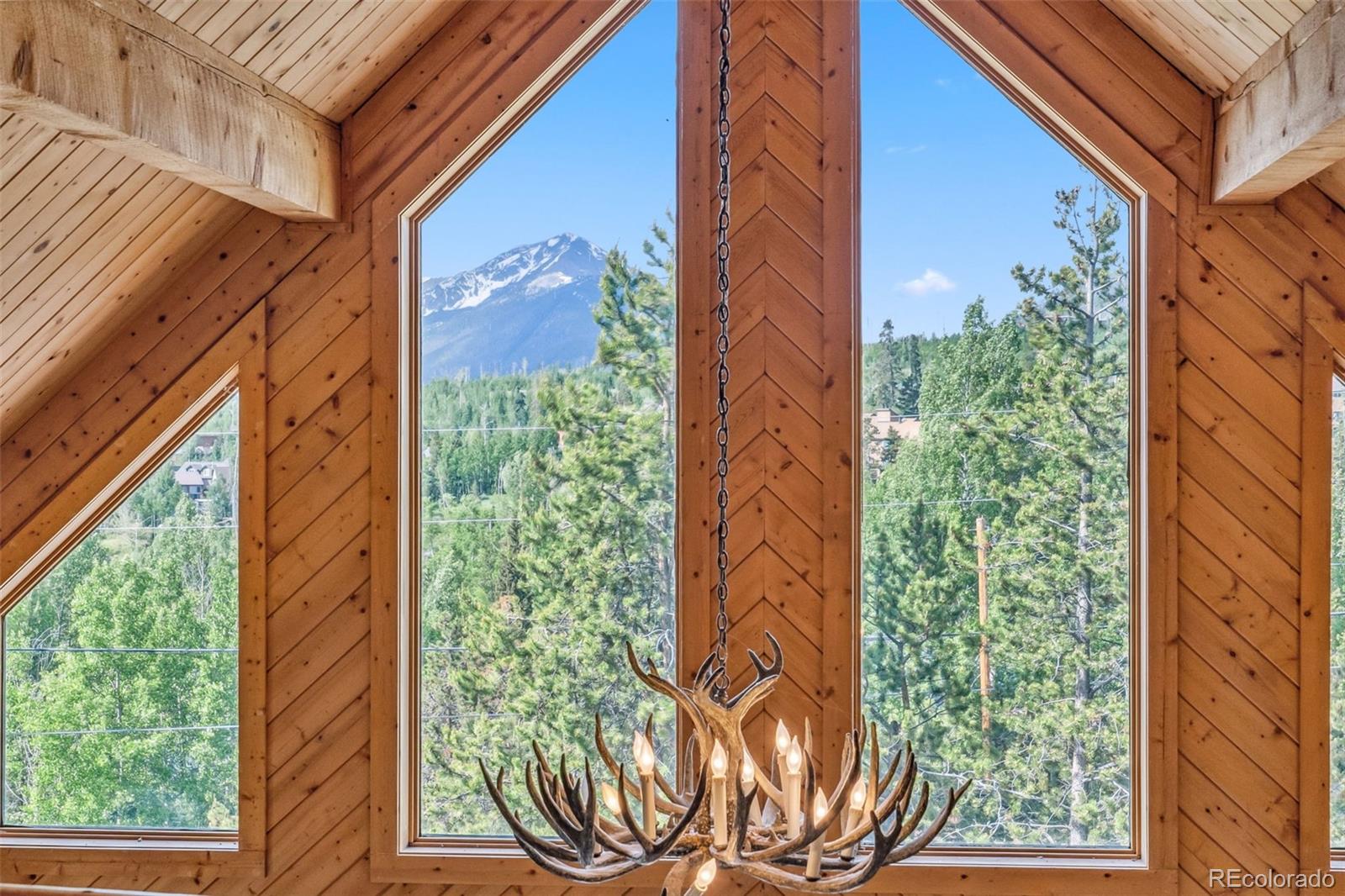 MLS Image #22 for 1149  royal buffalo drive,silverthorne, Colorado