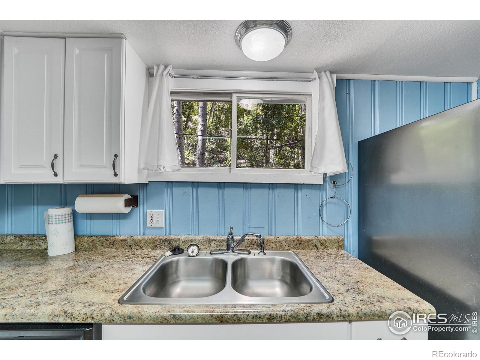 MLS Image #15 for 845  silver street,silver plume, Colorado