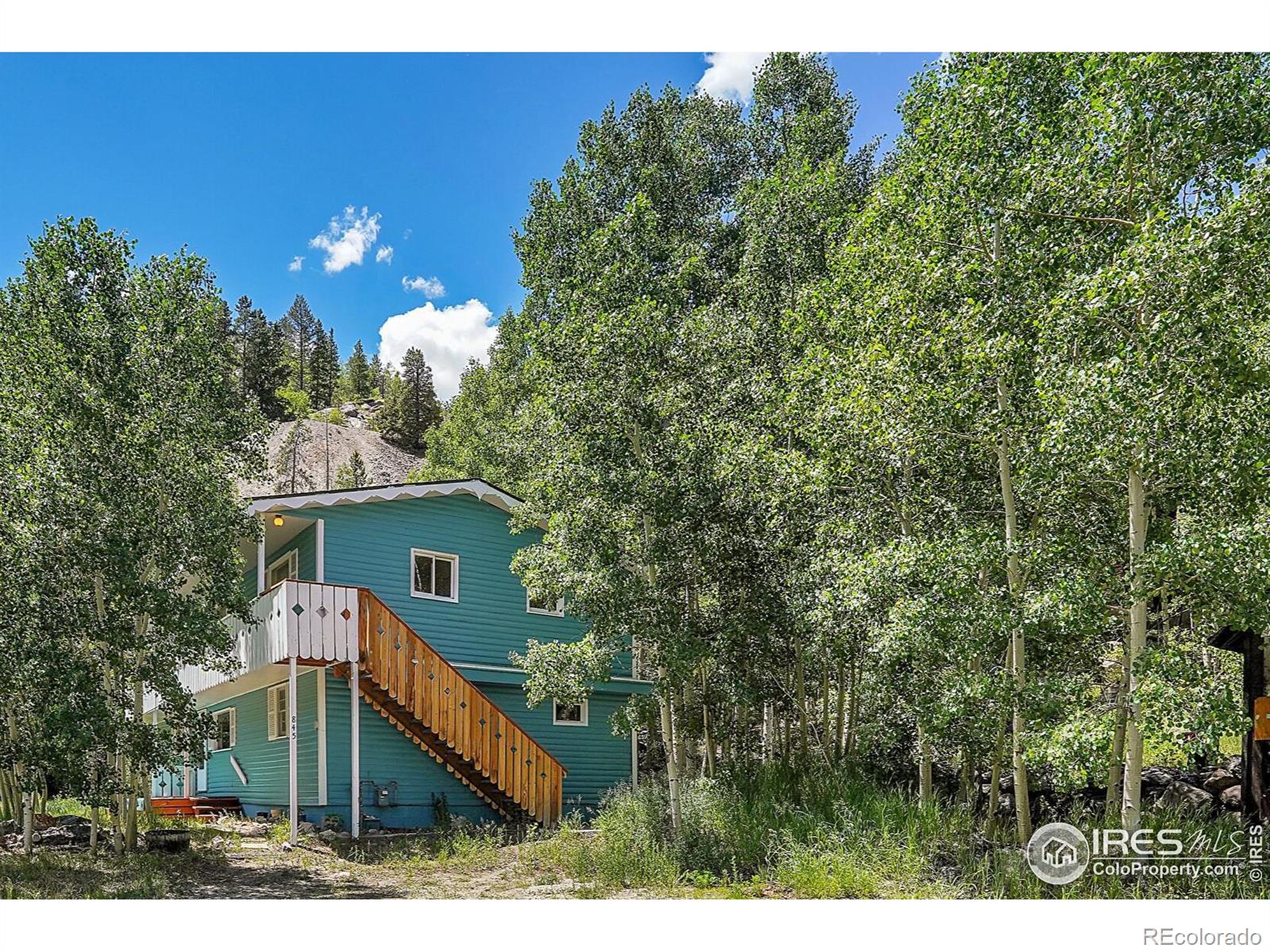 MLS Image #2 for 845  silver street,silver plume, Colorado