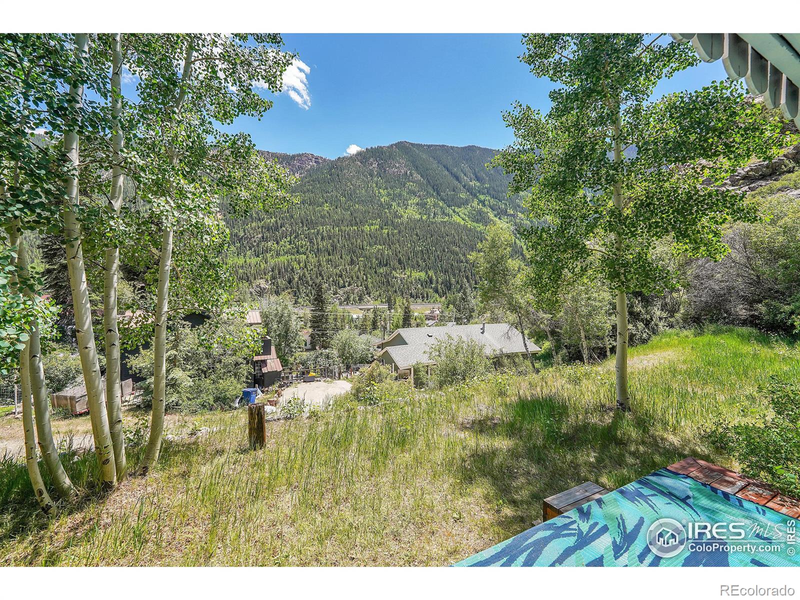 MLS Image #7 for 845  silver street,silver plume, Colorado