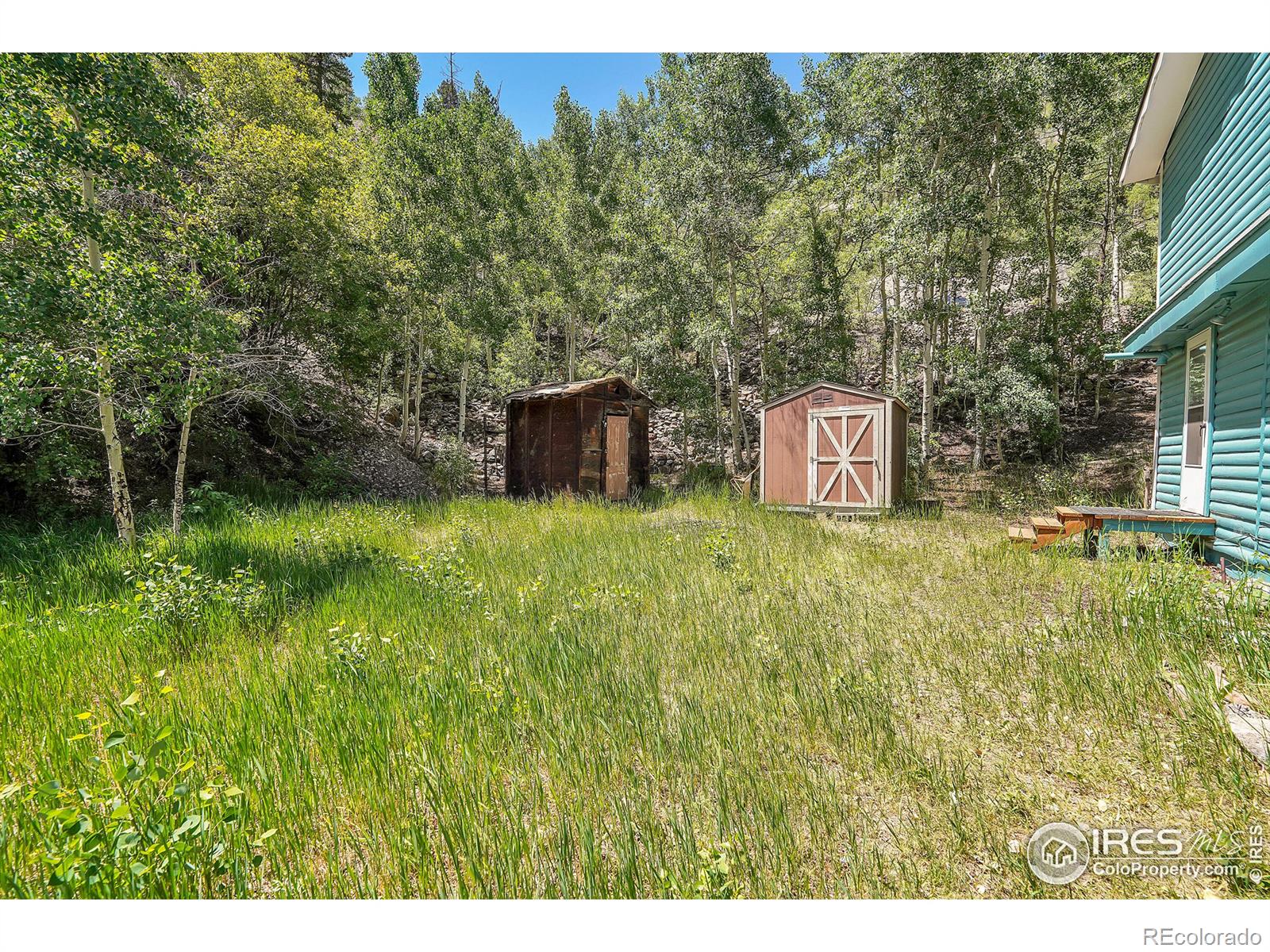 MLS Image #8 for 845  silver street,silver plume, Colorado