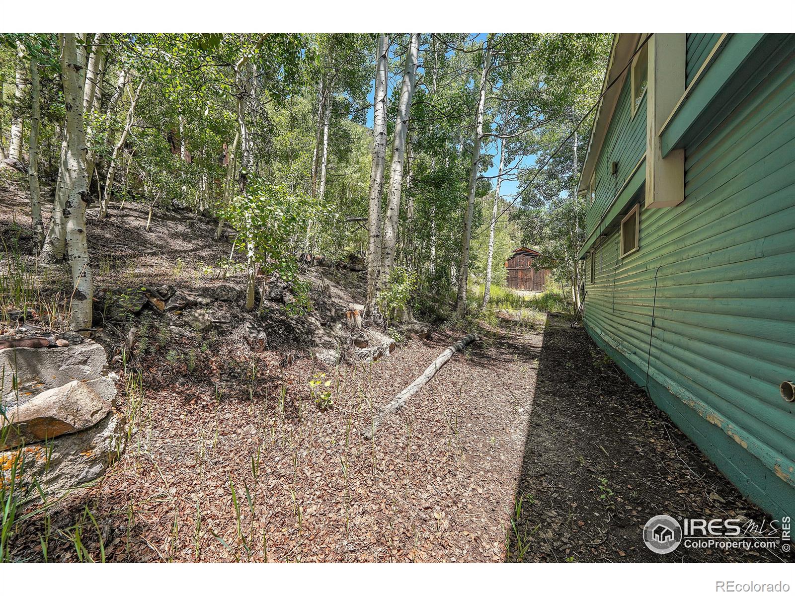 MLS Image #9 for 845  silver street,silver plume, Colorado