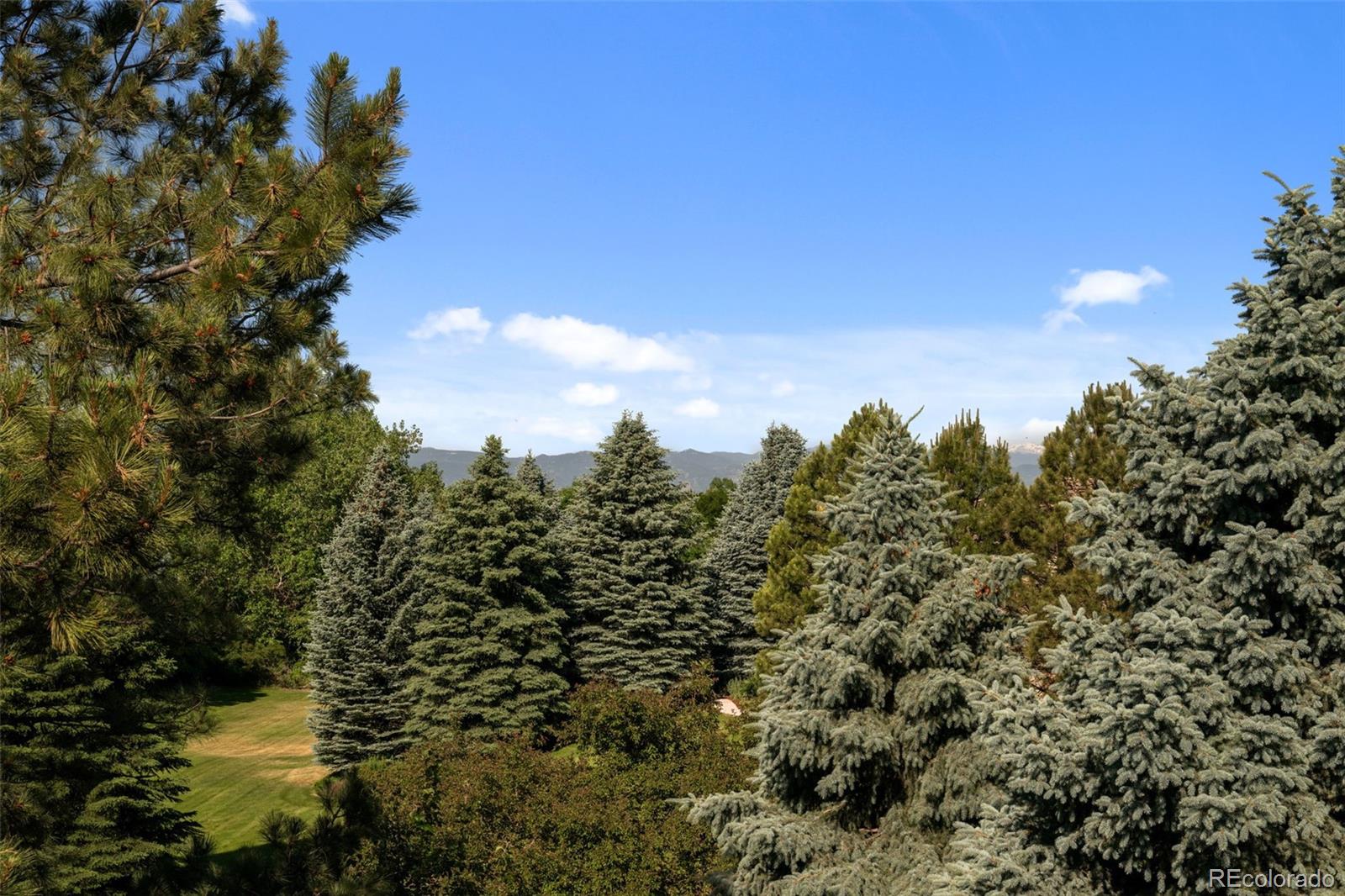 MLS Image #44 for 5831 s albion court,greenwood village, Colorado