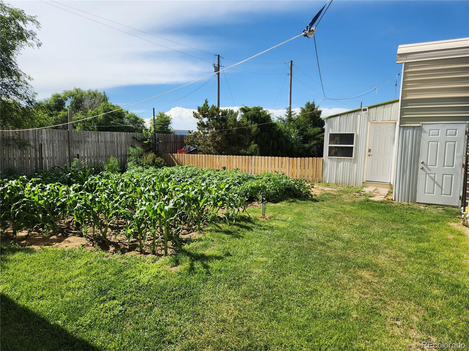 MLS Image #13 for 821  adams avenue,akron, Colorado