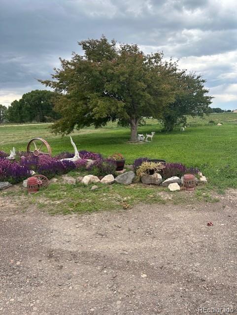 MLS Image #22 for 19065  county road 20 ,sanford, Colorado