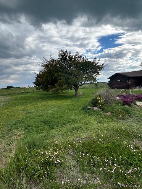 MLS Image #31 for 19065  county road 20 ,sanford, Colorado