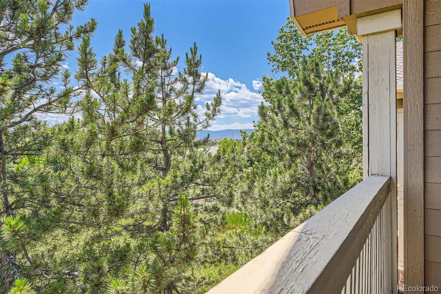 MLS Image #10 for 1681 w canal circle,littleton, Colorado