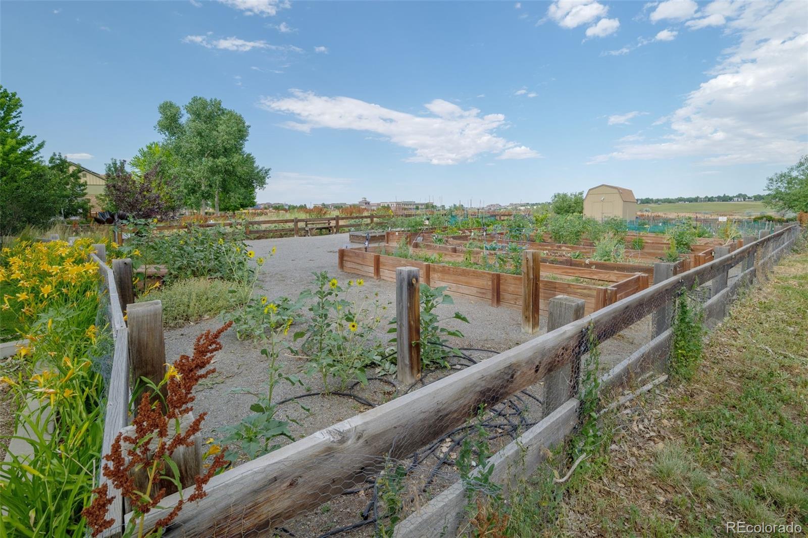 MLS Image #47 for 11741  newton drive,westminster, Colorado