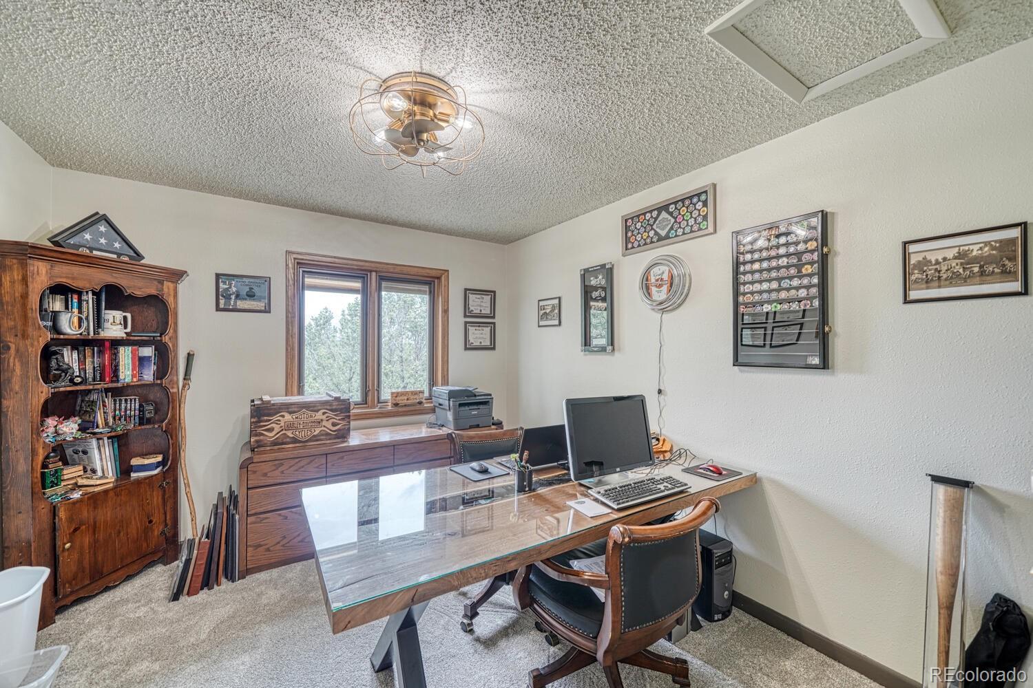 MLS Image #29 for 18165  alta vista drive,buena vista, Colorado