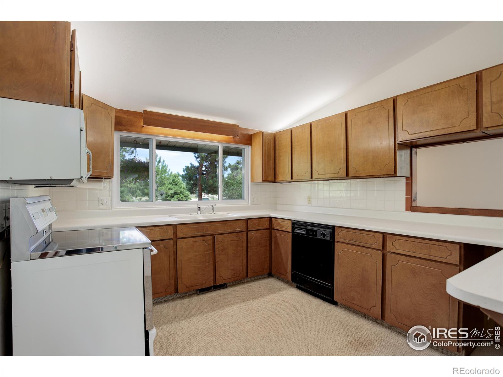 MLS Image #14 for 107  deer trail road,boulder, Colorado