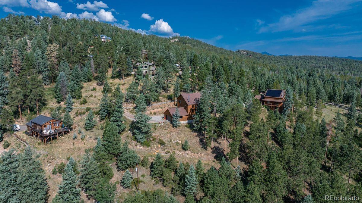 MLS Image #11 for 10150  blue sky trail,conifer, Colorado