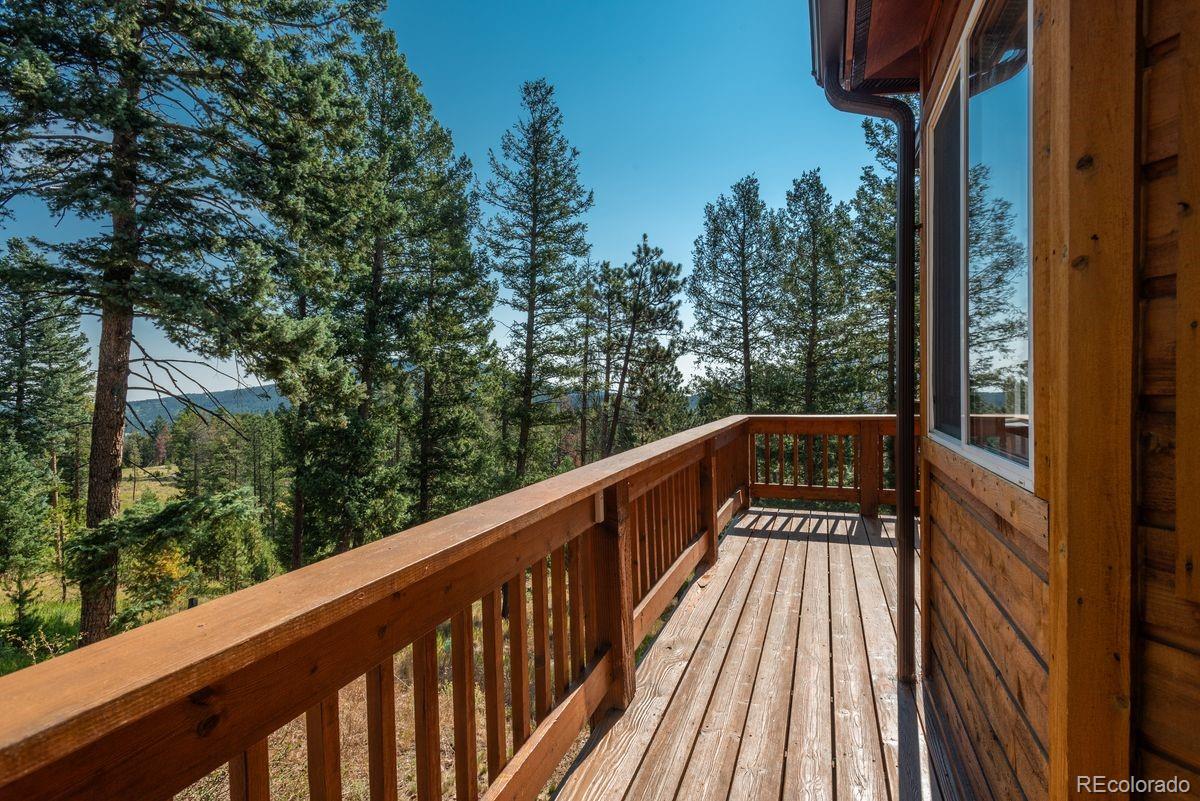 MLS Image #41 for 10150  blue sky trail,conifer, Colorado