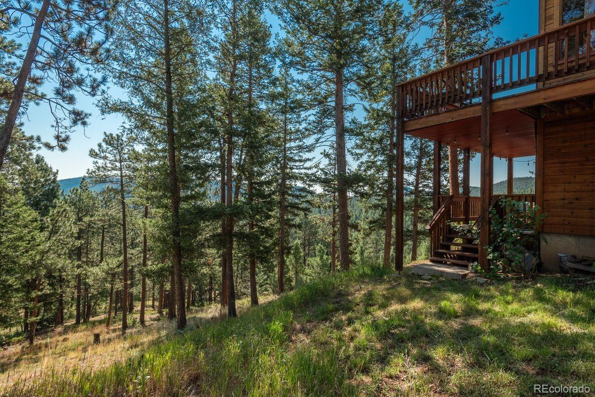 MLS Image #42 for 10150  blue sky trail,conifer, Colorado