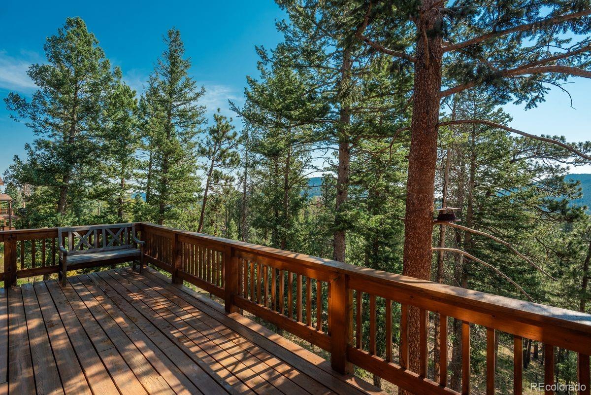 MLS Image #44 for 10150  blue sky trail,conifer, Colorado