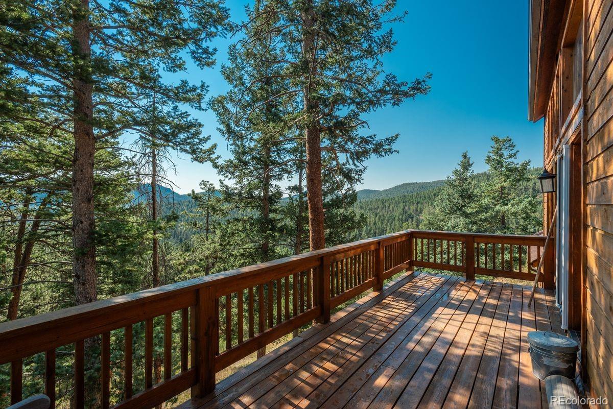 MLS Image #45 for 10150  blue sky trail,conifer, Colorado