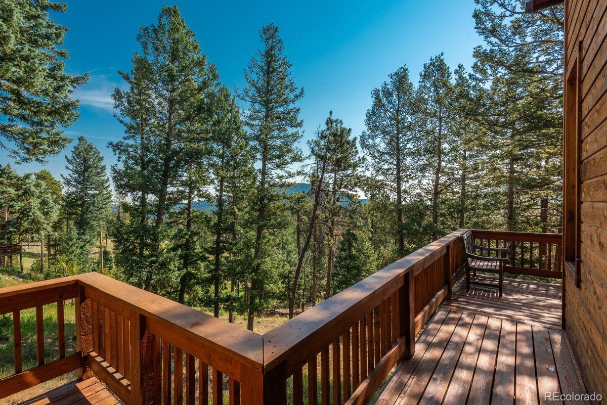 MLS Image #46 for 10150  blue sky trail,conifer, Colorado