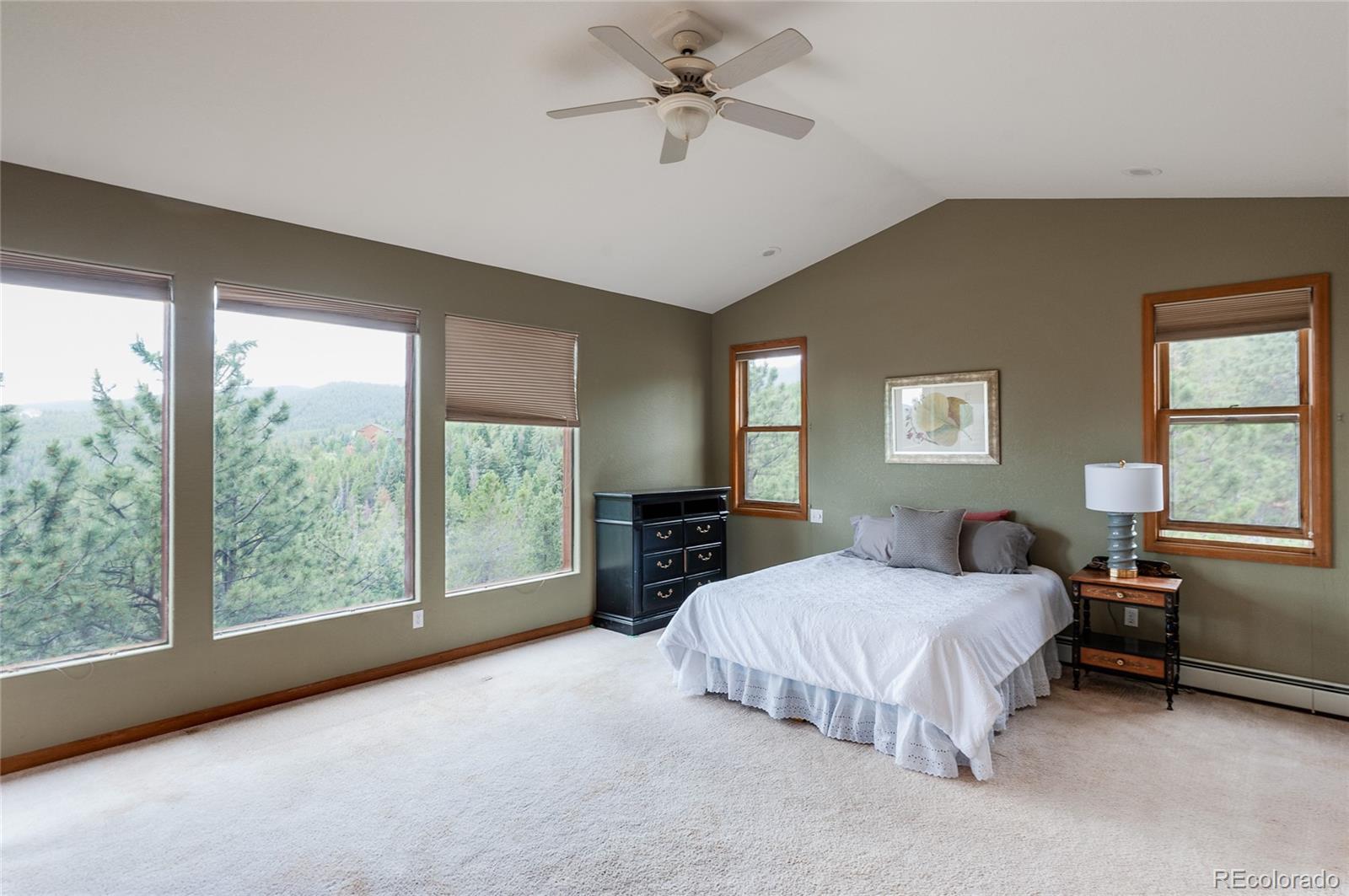 MLS Image #16 for 8460 s warhawk road,conifer, Colorado