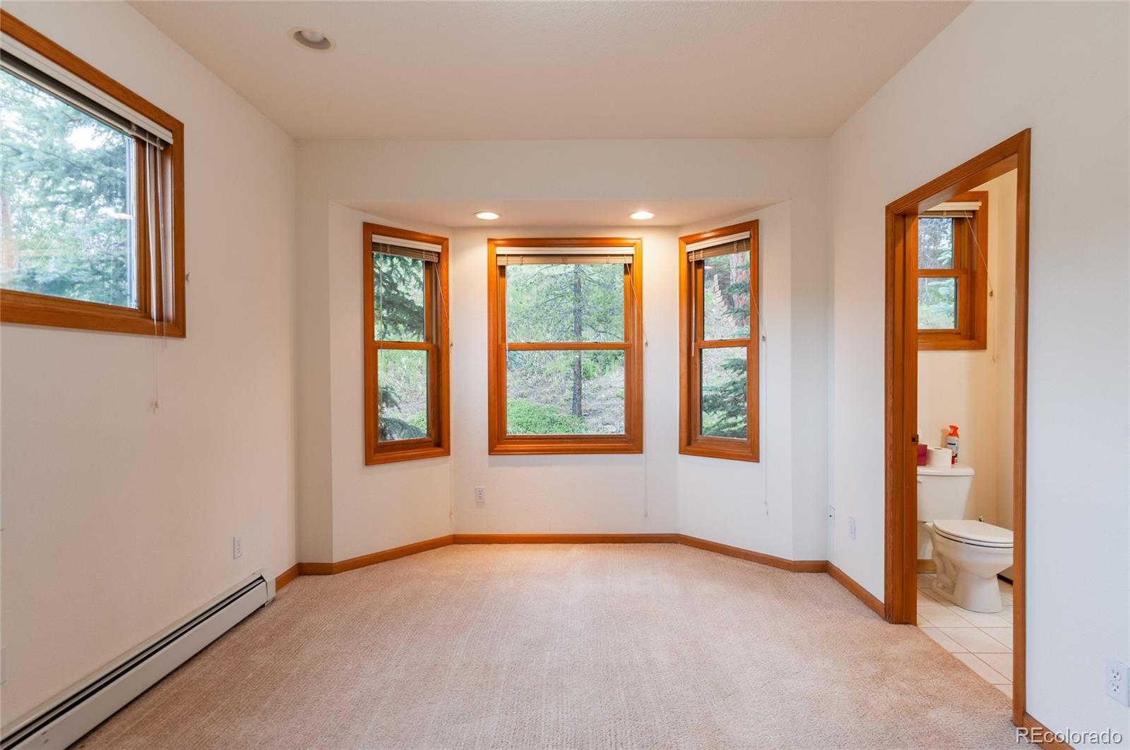 MLS Image #21 for 8460 s warhawk road,conifer, Colorado