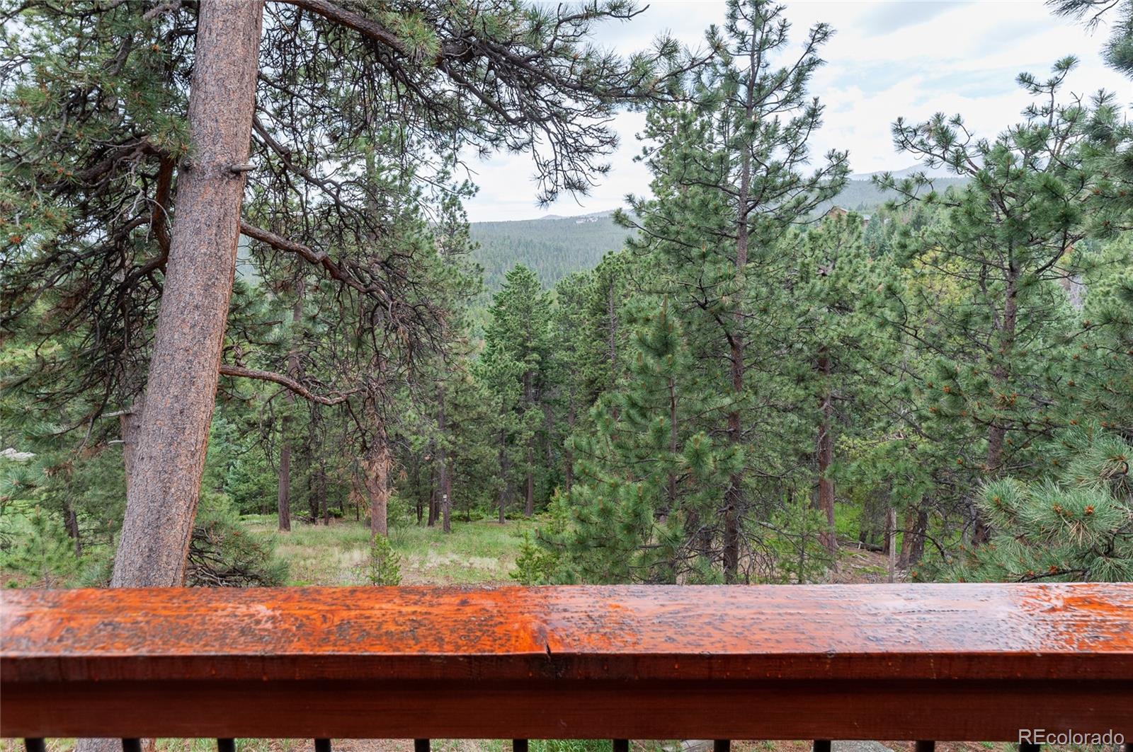 MLS Image #26 for 8460 s warhawk road,conifer, Colorado