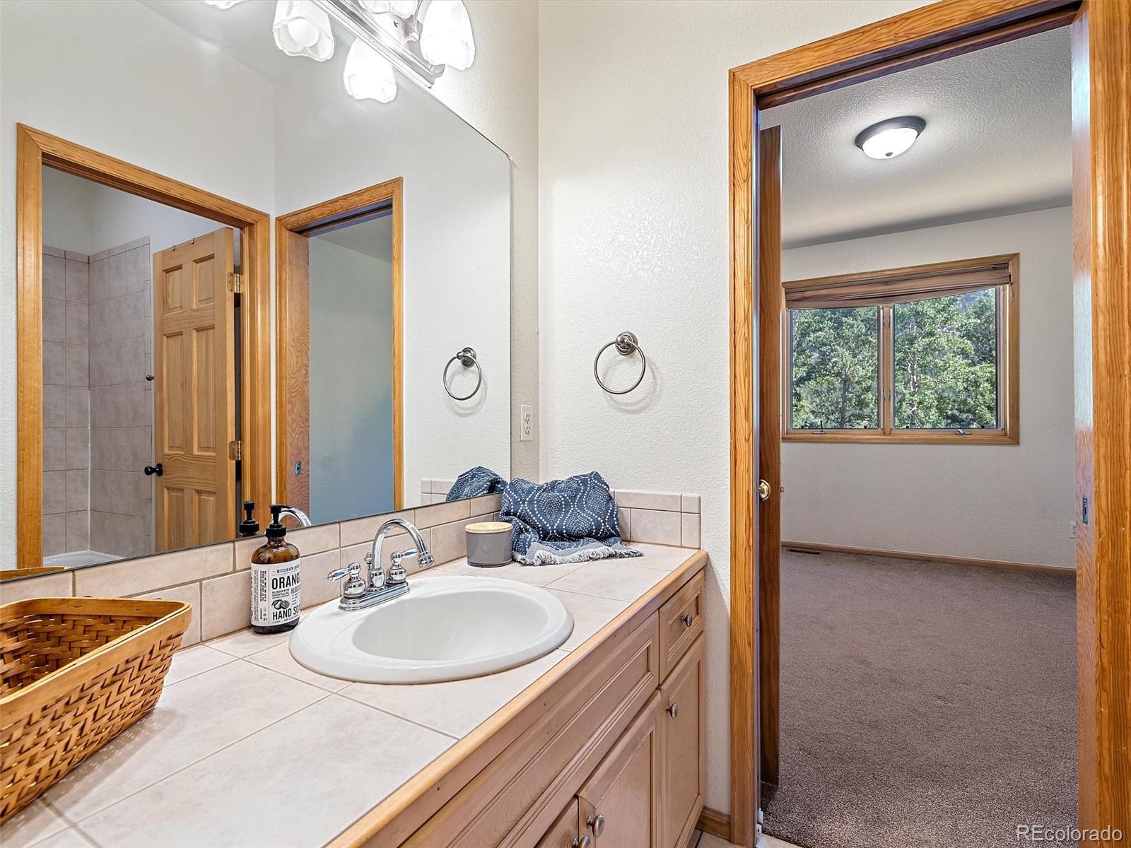 MLS Image #16 for 187  blue spruce drive,evergreen, Colorado
