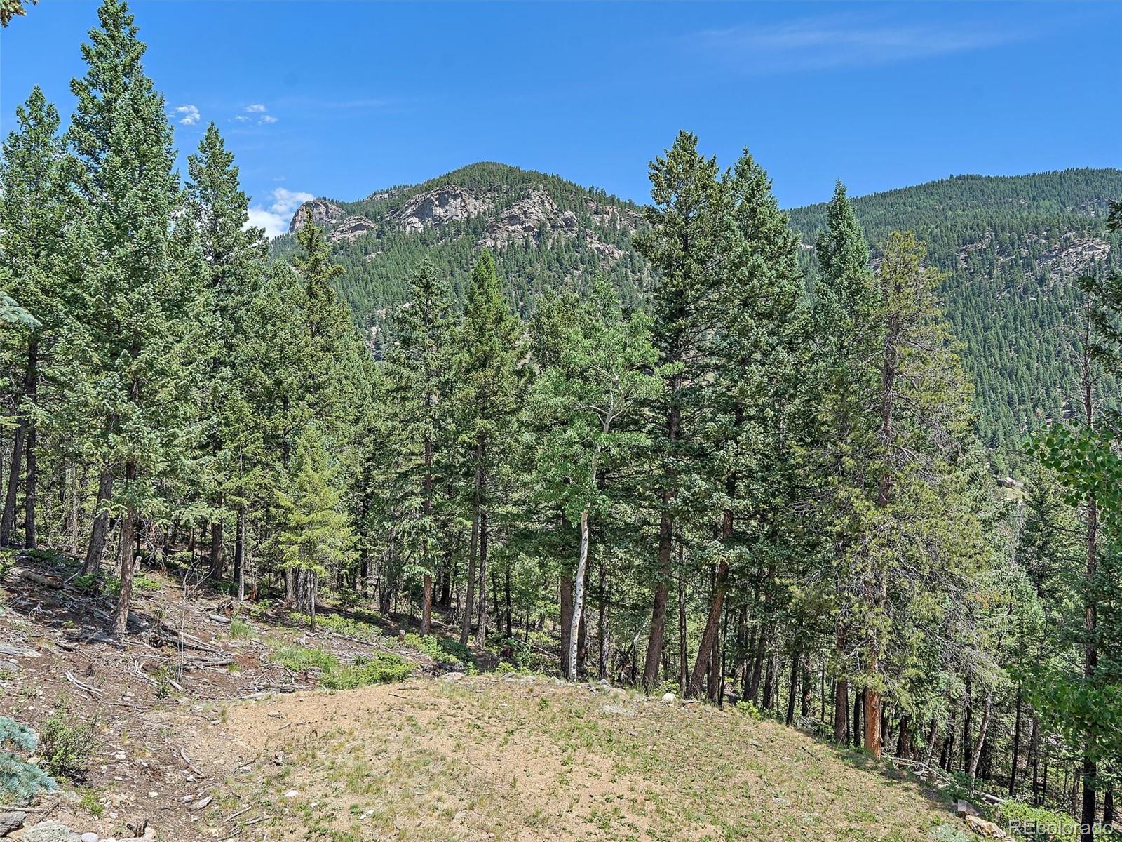 MLS Image #37 for 187  blue spruce drive,evergreen, Colorado