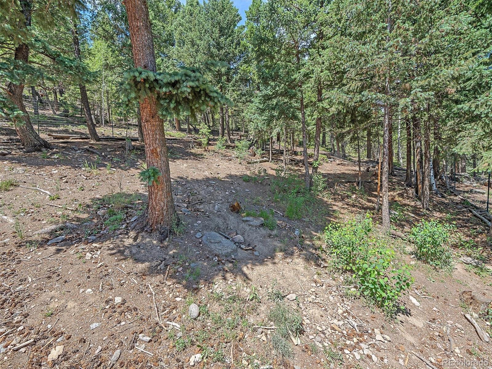 MLS Image #40 for 187  blue spruce drive,evergreen, Colorado
