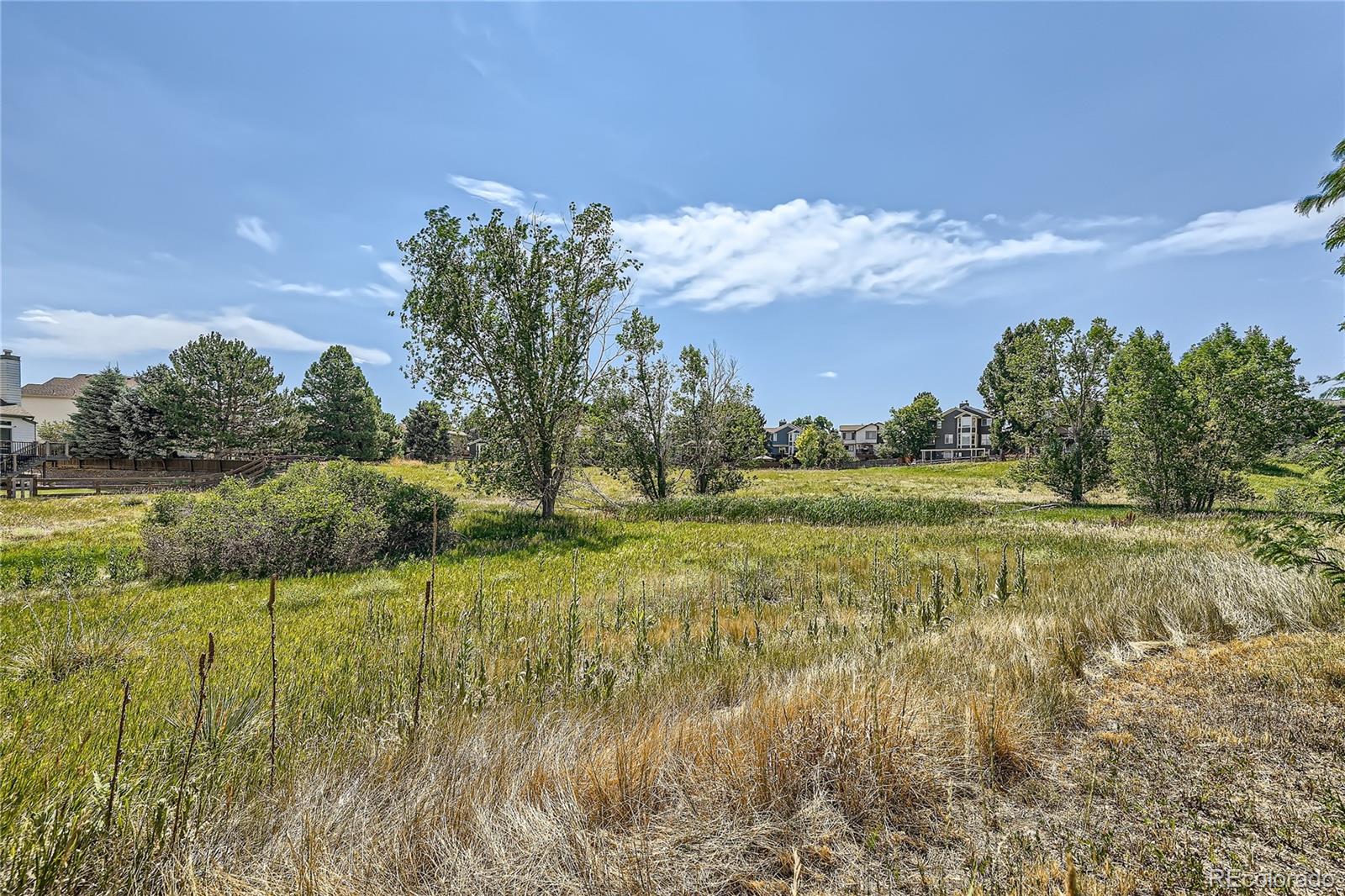 MLS Image #24 for 9416  morning glory way,highlands ranch, Colorado