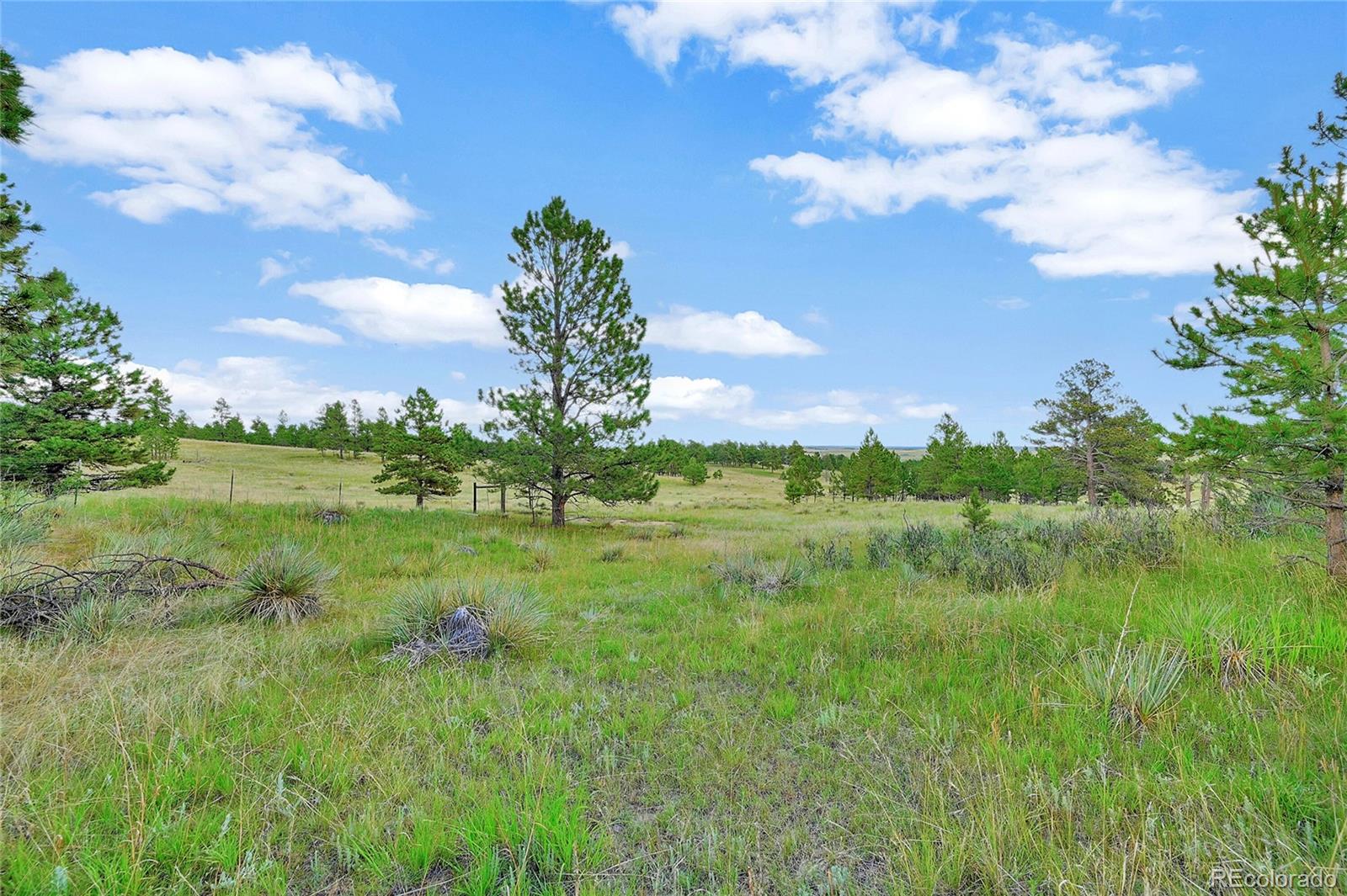 MLS Image #19 for 12524  hilltop place,kiowa, Colorado