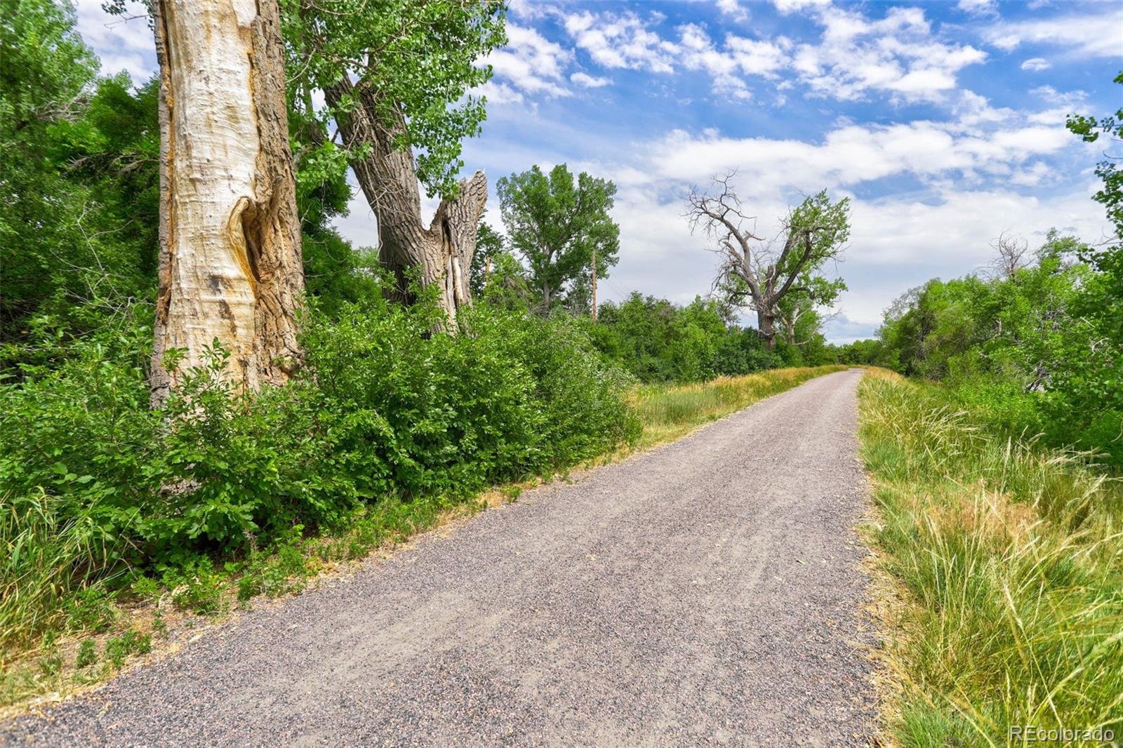 MLS Image #25 for 100 e highline circle,centennial, Colorado