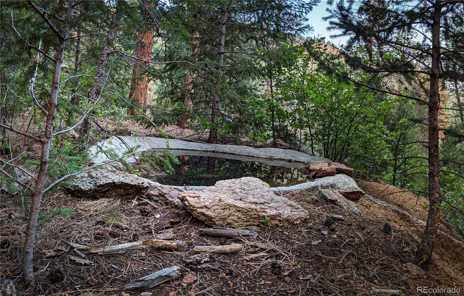 MLS Image #48 for 15864 s navy hill road,pine, Colorado