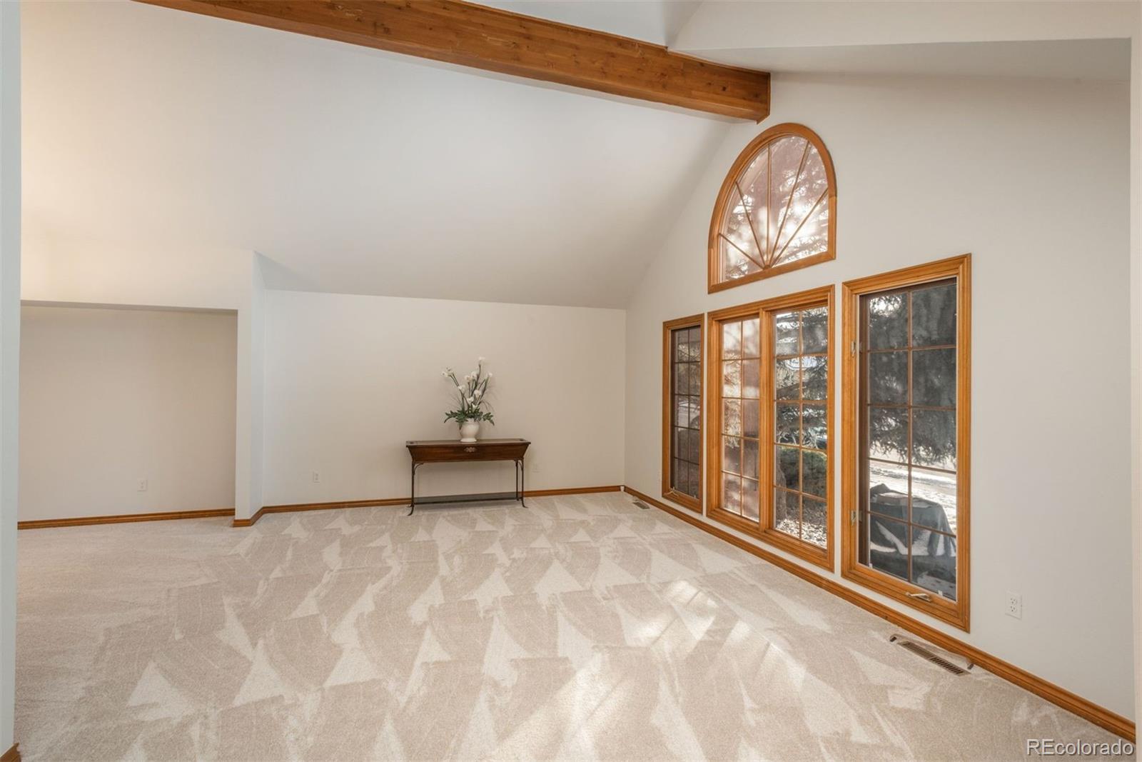 MLS Image #7 for 5537 e links circle,centennial, Colorado