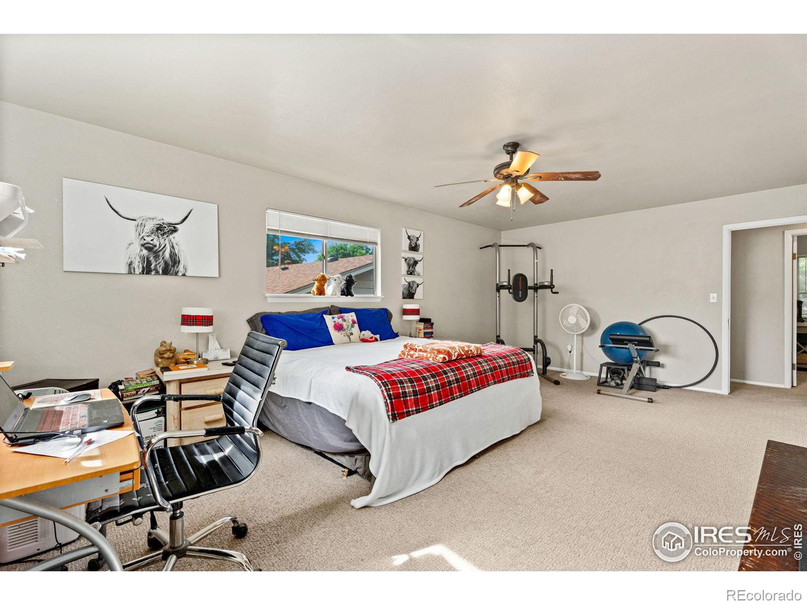 MLS Image #16 for 2912  tulane drive,fort collins, Colorado