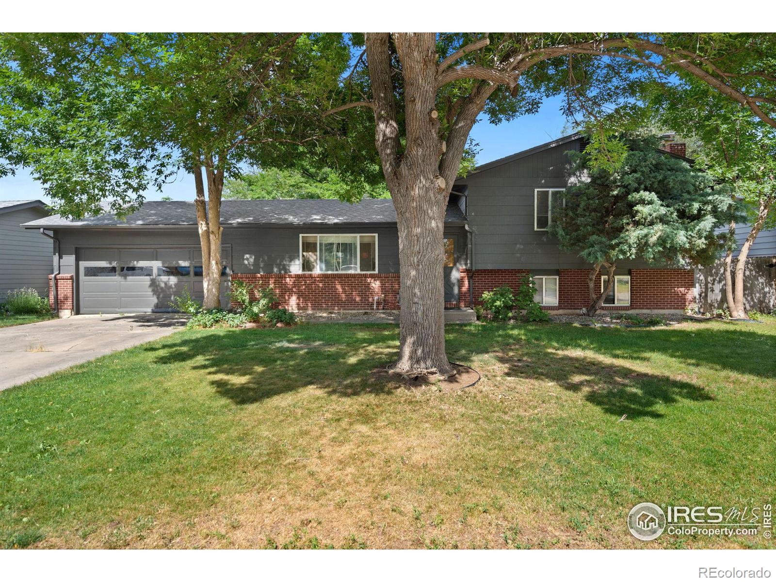 MLS Image #2 for 2912  tulane drive,fort collins, Colorado