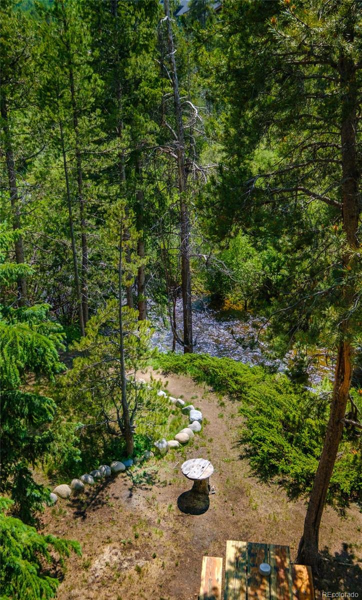 MLS Image #24 for 477  hi country drive,winter park, Colorado