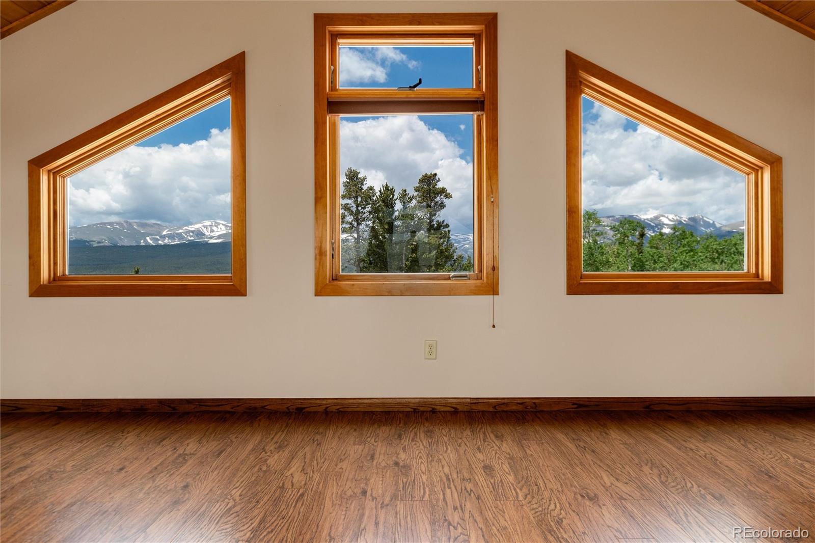 MLS Image #21 for 2120  platte river drive,fairplay, Colorado