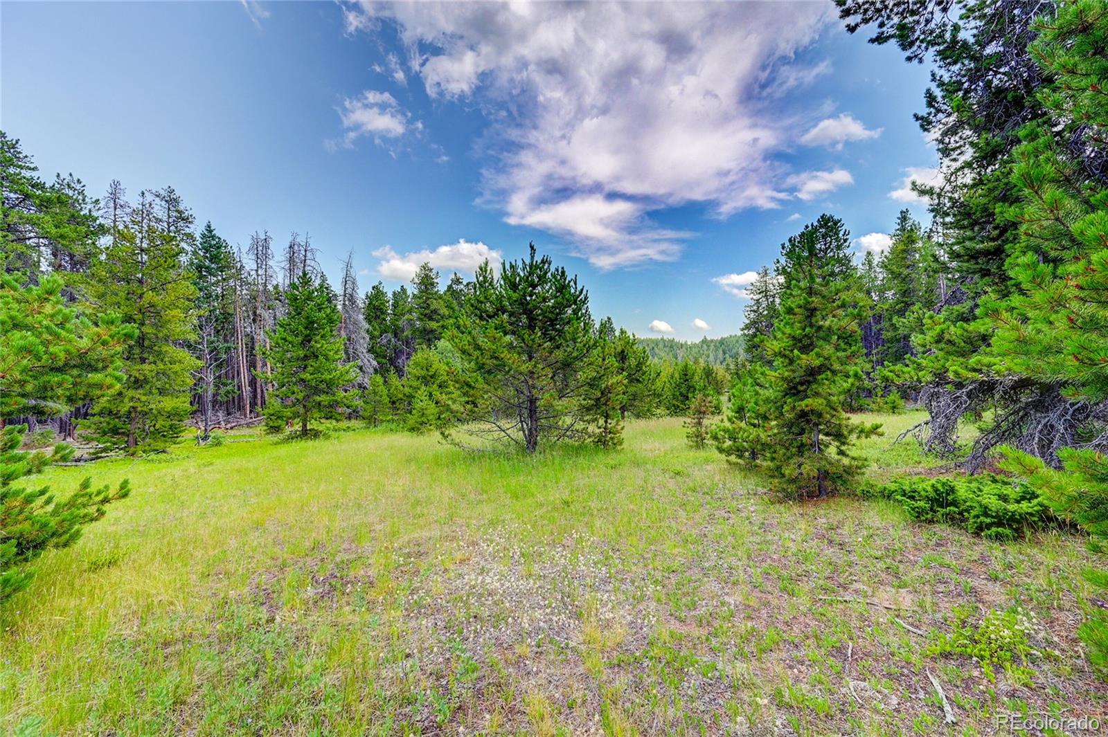 MLS Image #40 for 9303  dauntless way,conifer, Colorado