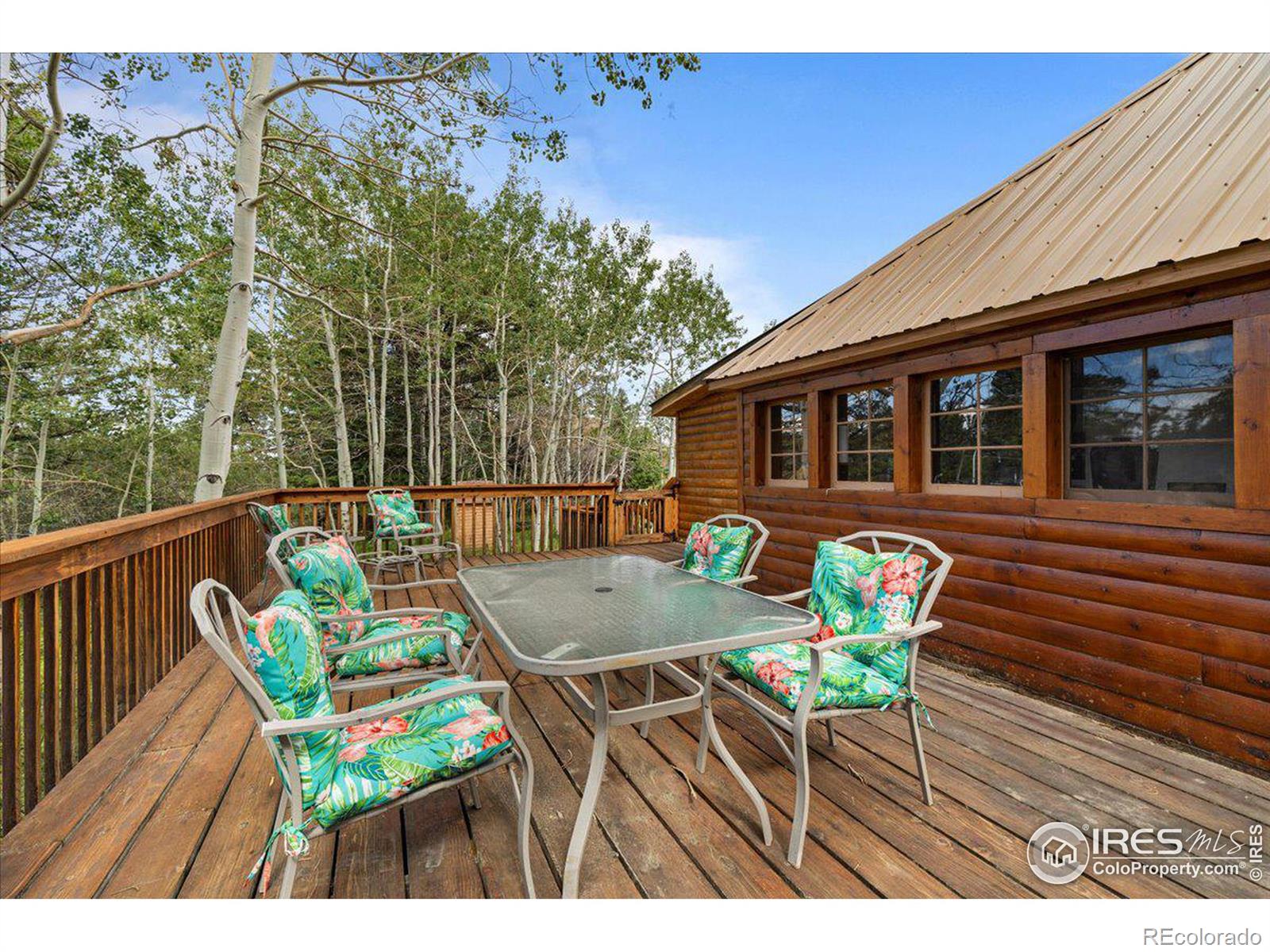 MLS Image #15 for 118  minnehaha street,red feather lakes, Colorado