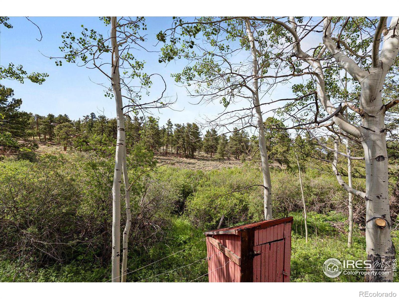 MLS Image #16 for 118  minnehaha street,red feather lakes, Colorado